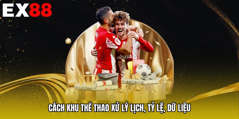 Cách khu thể thao xử lý lịch, tỷ lệ, dữ liệu