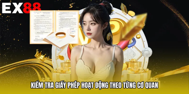 Kiểm tra Giấy phép hoạt động theo từng cơ quan